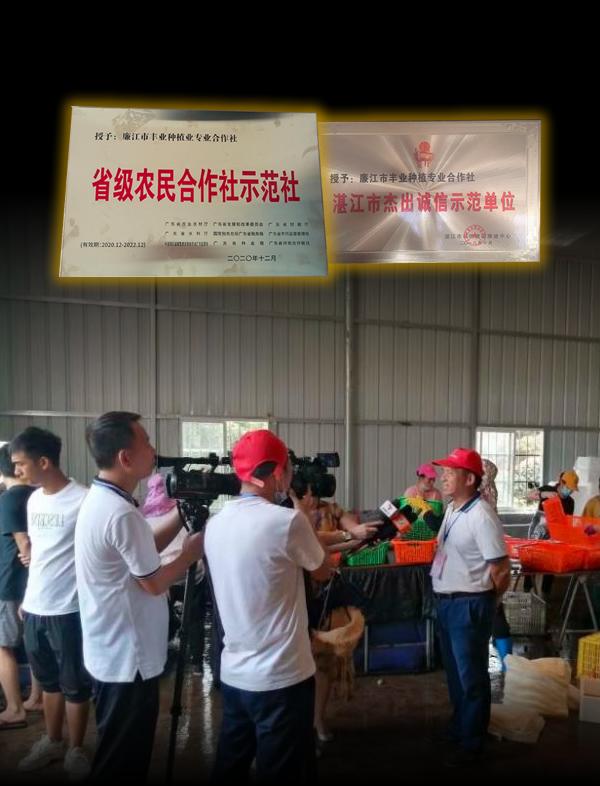 丰业合作社荣誉牌匾